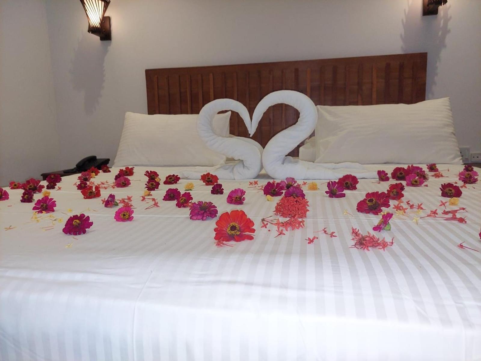 J7 Villaj Resort Trincomalee Eksteriør billede